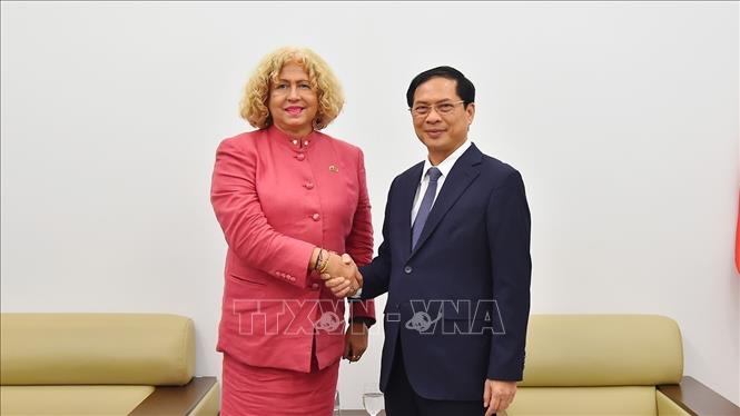 Minister of Foreign Affairs Bui Thanh Son receives Deputy Foreign Minister of Venezuela Capaya Rodriguez./.