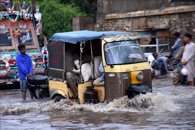 Trong ảnh: Cảnh ngập lụt tại thành phố Karachi, Pakistan ngày 9/7/2022. Ảnh: THX/TTXVN