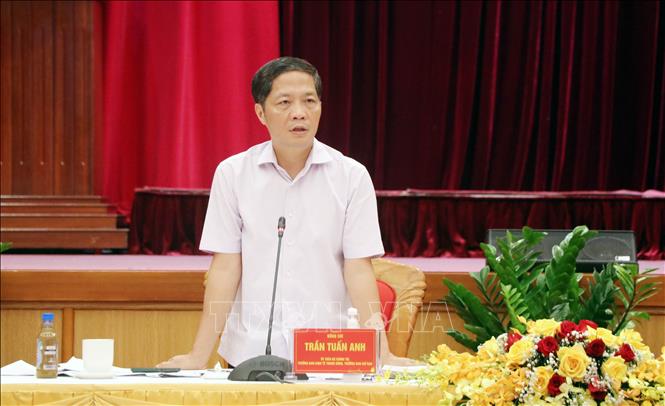 Trong ảnh: Ủy viên Bộ Chính trị, Trưởng Ban Kinh tế Trung ương Trần Tuấn Anh phát biểu tại Hội nghị. Ảnh: Văn Đức - TTXVN 