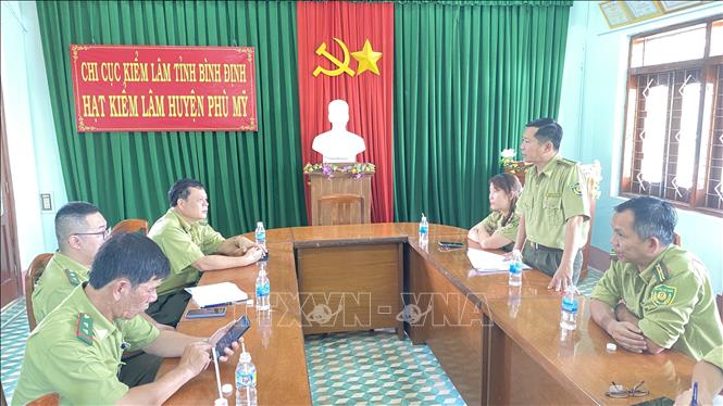Trong ảnh: Hạt Kiểm lâm huyện Phù Mỹ báo cáo vụ việc phá rừng, lấn chiếm đất rừng tại tiểu khu 208, xã Mỹ Hiệp. Ảnh: Tường Quân - TTXVN 