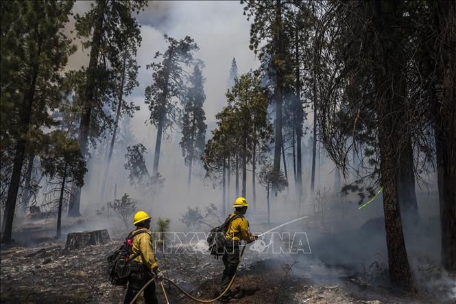 Trong ảnh: Lính cứu hỏa nỗ lực dập đám cháy tại rừng quốc gia Yosemite, bang California, Mỹ ngày 11/7/2022. Ảnh: AFP/TTXVN