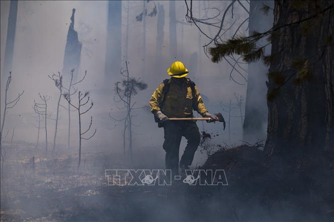 Trong ảnh: Lính cứu hỏa dập đám cháy tại rừng quốc gia Yosemite, bang California, Mỹ ngày 11/7/2022. Ảnh: AFP/TTXVN