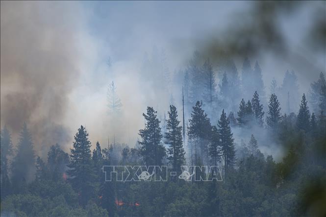 Trong ảnh: Khói bốc lên từ đám cháy tại rừng quốc gia Yosemite, bang California, Mỹ ngày 11/7/2022. Ảnh: AFP/TTXVN