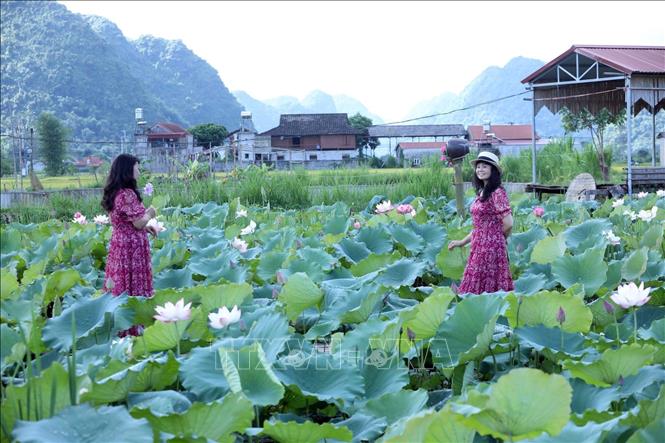 Trải nghiệm các hoạt động tại Tuần Văn hóa – Du lịch Bắc Sơn năm