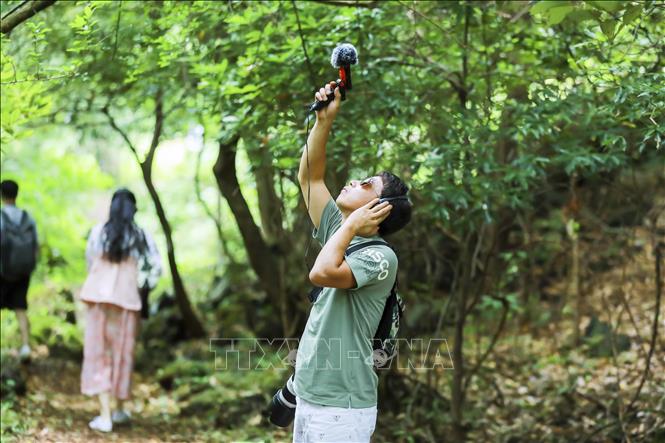 Trong ảnh: Du khách sử dụng các thiết bị thu và ghi âm để nghe các loại âm thanh khác nhau của thiên nhiên. Ảnh: Anh Nguyên - PV TTXVN tại Hàn Quốc.
