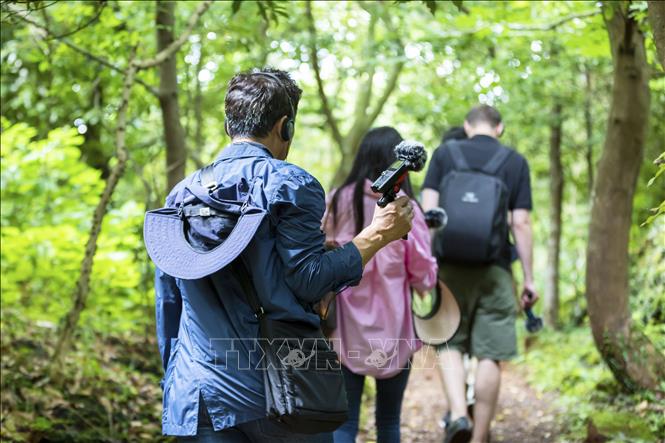 Trong anrh: Du khách trải nghiệm Sound Walk trên những con đường mòn quanh co trong rừng nguyên sinh. Ảnh: Anh Nguyên - PV TTXVN tại Hàn Quốc