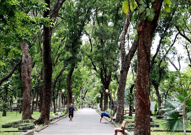 A corner of Hoang Van Thu Park in Tan Binh district, Ho Chi Minh City. VNA Photo: Hồng Đạt