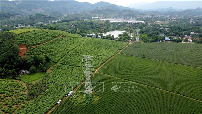 Tuyến đường dây đến trạm 220kV Bắc Quang (Hà Giang) đã hoàn thành. Ảnh: Huy Hùng - TTXVN