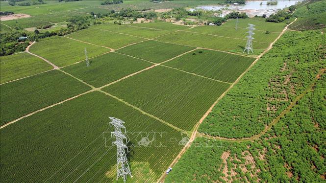 Dự án đường dây 220 kV mạch kép đấu nối Trạm biến áp 220 kV Bắc Quang ngoài việc giải tỏa công suất cho các nhà máy thủy điện vừa và nhỏ, đảm bảo an ninh năng lượng quốc gia, còn phục vụ mua điện từ nước ngoài. Ảnh: Huy Hùng - TTXVN