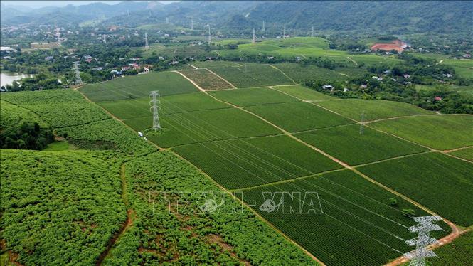 Toàn tuyến đường dây còn 1 vị trí cột và 10 khoảng néo trên địa bàn huyện Bắc Quang (Hà Giang) và 1 vị trí cột và 14 khoảng néo trên địa bàn huyện Lục Yên (Yên Bái) đang bị nghẽn do chậm trễ trong giải phóng mặt bằng, chưa thể thi công. Ảnh: Huy Hùng - TTXVN