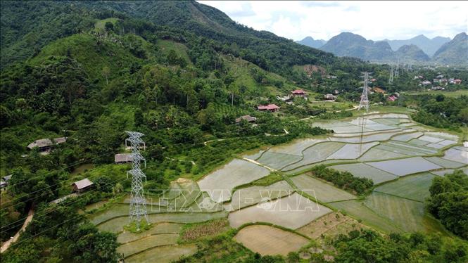 Tại huyện Lục Yên (Yên Bái), hiện có 34/35 vị trí cột móng đã hoàn thành, còn vị trí cột 20 chưa có mặt bằng do người dân chưa đồng ý mức tiền đền bù. Ảnh: Huy Hùng - TTXVN