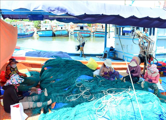 Trong ảnh: Tại các cảng cá của tỉnh Ninh Thuận, lao động nữ thì nhiều trong khi lao động nam đi biển lại thiếu. Ảnh: Công Thử - TTXVN