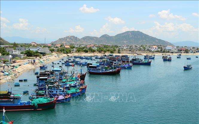Trong ảnh: Do chi phí cao và thiếu lao động đi biển nên nhiều tàu cá ở thị trấn Khánh Hải, huyện Ninh Hải (Ninh Thuận) phải nằm bờ. Ảnh: Công Thử - TTXVN
