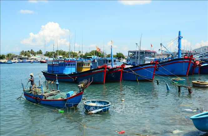 Trong ảnh: Do chi phí cao và thiếu lao động đi biển nên nhiều tàu cá ở xã Cà Ná, huyện Thuận Nam (Ninh Thuận) phải nằm bờ. Ảnh: Công Thử - TTXVN