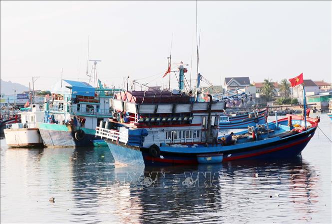 Trong ảnh: Do chi phí cao và thiếu lao động đi biển nên nhiều tàu cá ở xã Cà Ná, huyện Thuận Nam (Ninh Thuận) phải nằm bờ. Ảnh: Công Thử - TTXVN