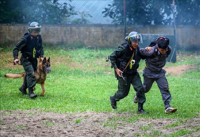Chiến sĩ cảnh sát cơ động cùng chó nghiệp vụ tham gia diễn tập truy bắt tội phạm. Ảnh: Phạm Kiên - TTXVN