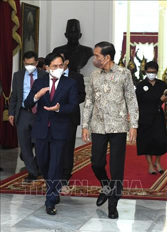Trong ảnh: Bộ trưởng Ngoại giao Bùi Thanh Sơn tiếp kiến Tổng thống Indonesia Joko Widodo (Jokowi). Ảnh: TTXVN phát