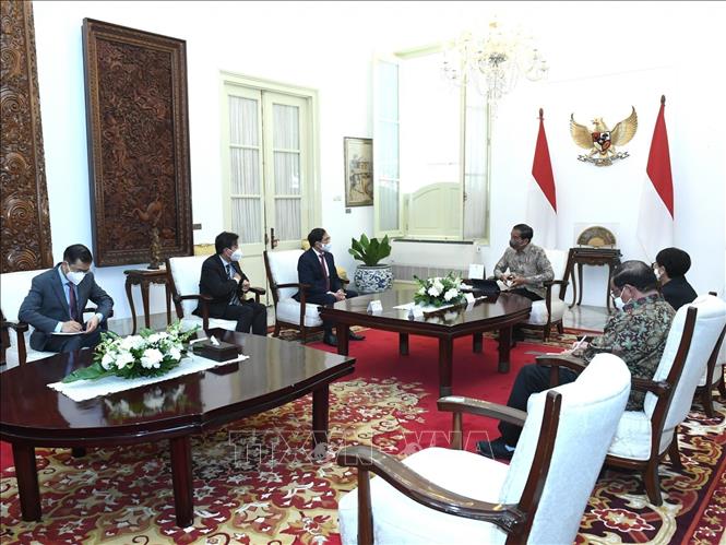 Trong ảnh: Bộ trưởng Ngoại giao Bùi Thanh Sơn tiếp kiến Tổng thống Indonesia Joko Widodo (Jokowi). Ảnh: TTXVN phát