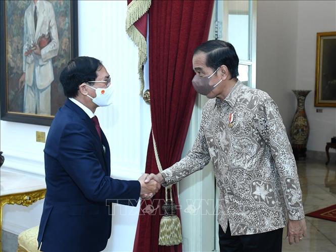 Trong ảnh: Bộ trưởng Ngoại giao Bùi Thanh Sơn tiếp kiến Tổng thống Indonesia Joko Widodo (Jokowi). Ảnh: TTXVN phát