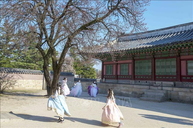 Trong ảnh: Người dân Hàn Quốc thường mặc Hanbok khi tham quan, chụp ảnh và check-in trong các cung điện ở thủ đô Seoul. Ảnh: Anh Nguyên - PV TTXVN tại Hàn Quốc