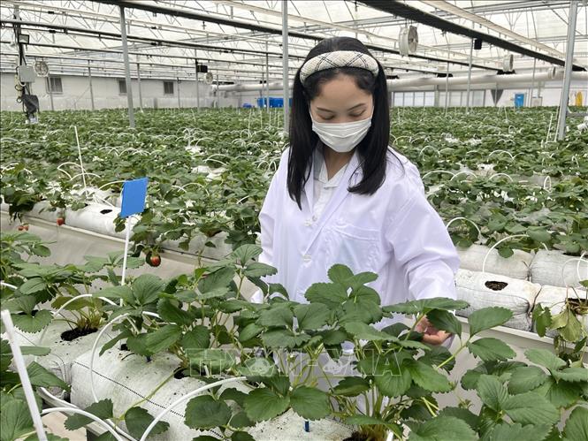 Cập nhật với hơn 75 về mô hình nông nghiệp ở thái lan hay nhất  Tin học  Đông Hòa