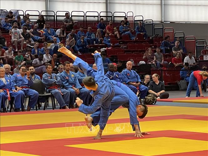 Một màn thi đấu của các võ sinh Việt Nam. Ảnh: Thu Hà - TTXVN