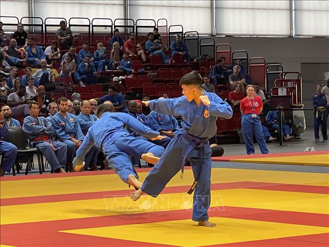 Một màn thi đấu của các võ sinh Việt Nam. Ảnh: Thu Hà - TTXVN