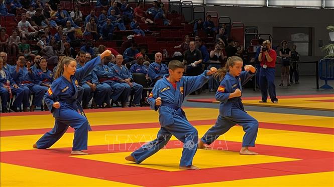 Màn thi đấu của các võ sinh lọt vào chung kết. Ảnh: Thu Hà - TTXVN