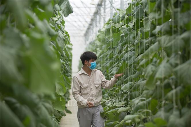 Nông nghiệp hiện đại nhất thế giới  6 mô hình công nghệ cao