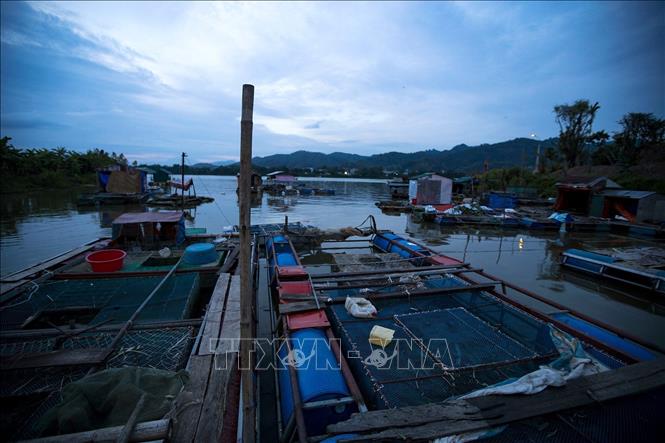 Trong ảnh: Khi thủy điện Hòa Binh xả nước thì các hộ gia đình có lồng bè nuôi cá lồng ở làng vạn chài sẽ ngay lập tức di rời các lồng bè vào một con ngòi ngay phía hạ lưu để tránh nước lũ. Ảnh: Trọng Đạt-TTXVN 