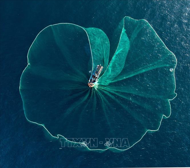 Trong ảnh: Những tấm lưới màu xanh hòa quyện cùng màu xanh trong của nước biển Phú Yên. Ảnh: TTXVN phát