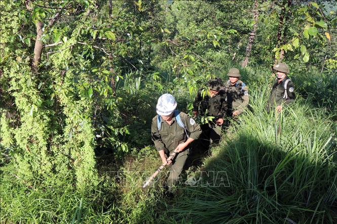Trong ảnh: Nhân viên Ban quản lý rừng phòng hộ sông Hương tuần tra bảo vệ rừng. Ảnh: Đỗ Trưởng – TTXVN