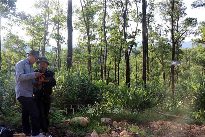 Trong ảnh: Nhân viên Ban quản lý rừng phòng hộ sông Hương sử dụng thiết bị bay flycam để chủ động phát hiện các đám cháy rừng. Ảnh: Đỗ Trưởng - TTXVN

