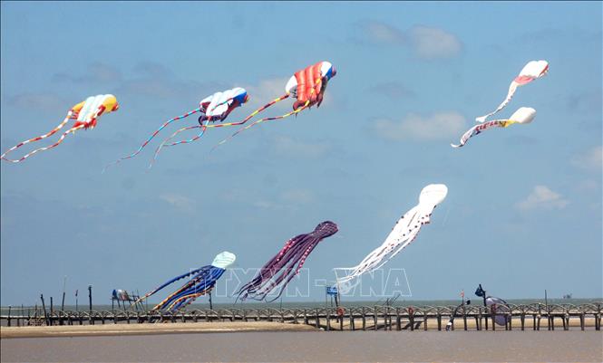 Kites fly at the National Kite Festival 2022. VNA Photo: Thế Duyệt