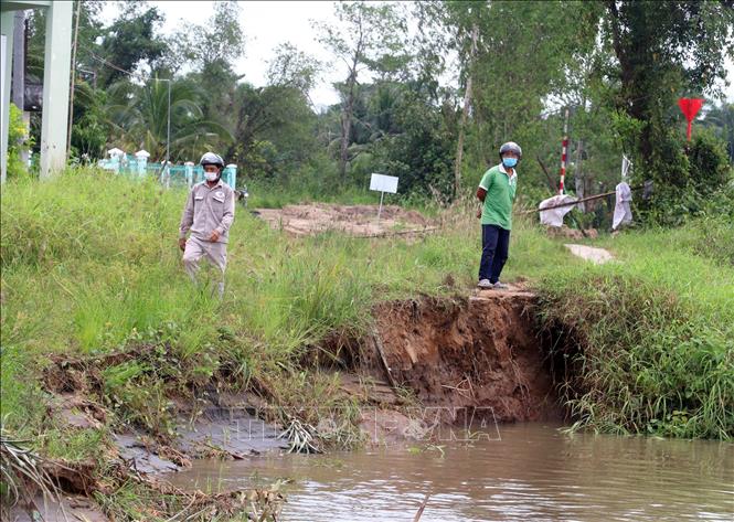 Đoạn sạt lở tại xã Tân Long Hội, huyện Mang Thít làm ảnh hưởng đến con đường lưu thông hàng ngày của người dân. Ảnh: Lê Thúy Hằng - TTXVN
