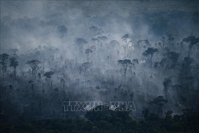 Trong ảnh: Khói bốc lên từ đám cháy rừng Amazon ở Apui, bang Amazonas, Brazil, ngày 27/7/2022. Ảnh: AFP/TTXVN