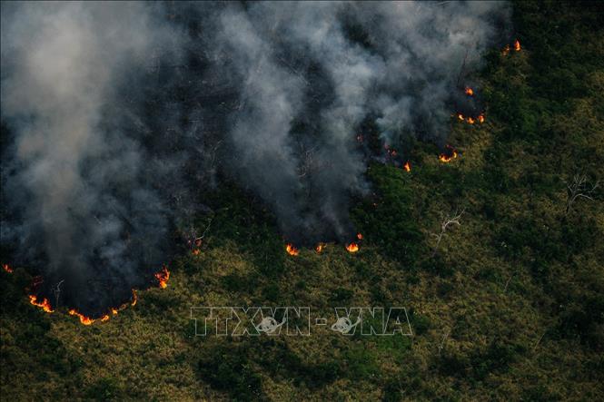 Trong ảnh: Khói lửa bốc lên từ đám cháy rừng Amazon ở Porto Velho, bang Rondonia, Brazil, ngày 27/7/2022. Ảnh: AFP/TTXVN