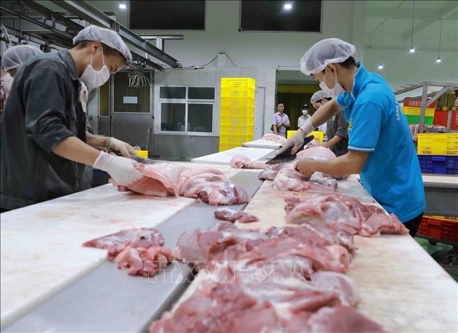 Pha lóc, phân loại thịt lợn để cung cấp ra thị trường tại nhà máy của Công ty thực phẩm Vinh Anh. Ảnh: Vũ Sinh - TTXVN