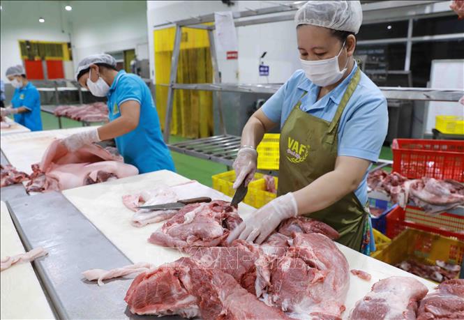 Pha lóc, phân loại thịt lợn để cung cấp ra thị trường tại nhà máy của Công ty thực phẩm Vinh Anh. Ảnh: Vũ Sinh - TTXVN