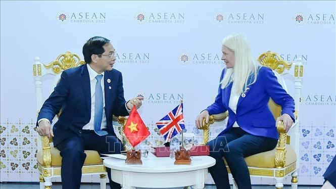 Foreign Minister Bui Thanh Son (L) meets with British Minister of State for Asia and the Middle East Amanda Milling. VNA Photo: Vũ Hùng 