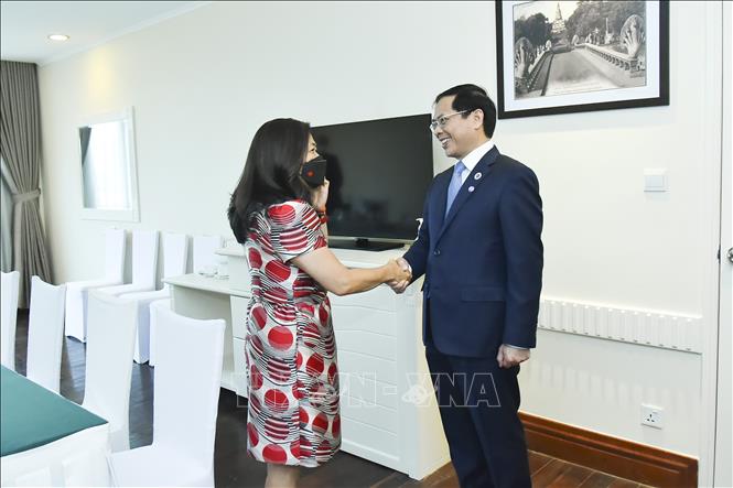 Foreign Minister Bui Thanh Son (R) meets with Canadian Minister of Small Business, Export Promotion, and International Trade Mary Ng. VNA Photo: Vũ Hùng 