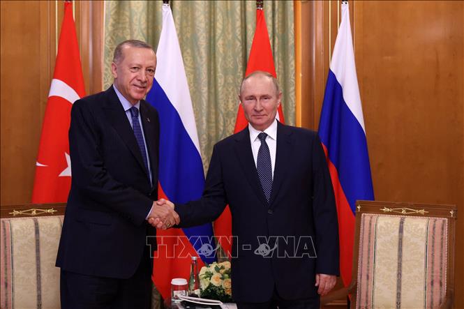 Trong ảnh: Tổng thống Nga Vladimir Putin (phải) trong cuộc hội đàm với người đồng cấp Thổ Nhĩ Kỳ Recep Tayyip Erdogan tại thành phố Sochi, ngày 5/8/2022. Ảnh: AFP/TTXVN