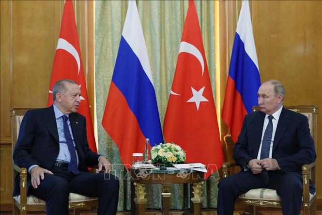 Trong ảnh: Tổng thống Nga Vladimir Putin (phải) trong cuộc hội đàm với người đồng cấp Thổ Nhĩ Kỳ Recep Tayyip Erdogan tại thành phố Sochi, ngày 5/8/2022. Ảnh: AFP/TTXVN