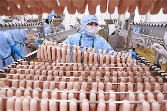 Sản phẩm xúc xích được sản xuất tại nhà máy của Công ty C.P Việt Nam ở KCN Phú Nghĩa, huyện Chương Mỹ, Hà Nội. Ảnh: Vũ Sinh - TTXVN