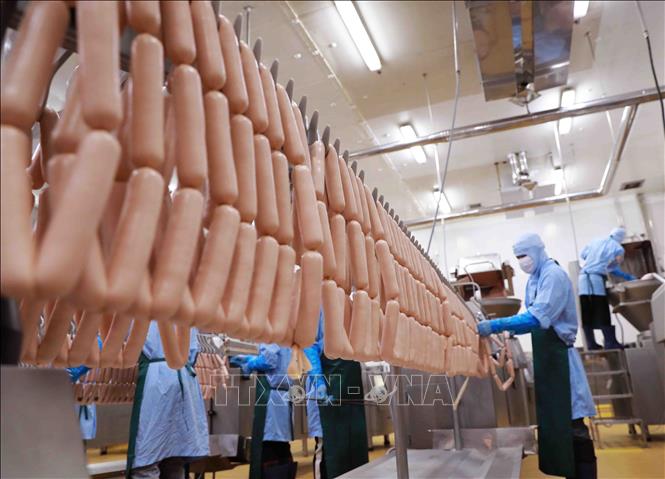 Dây chuyền sản xuất xúc xích tại nhà máy của Công ty C.P Việt Nam ở KCN Phú Nghĩa, huyện Chương Mỹ, Hà Nội. Ảnh: Vũ Sinh - TTXVN