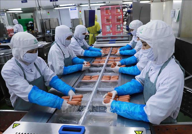 Dây chuyền sản xuất xúc xích tại nhà máy của Công ty C.P Việt Nam ở KCN Phú Nghĩa, huyện Chương Mỹ, Hà Nội. Ảnh: Vũ Sinh - TTXVN