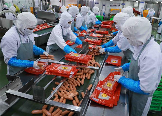 Đóng gói sản phẩm xúc xích tại nhà máy của Công ty C.P Việt Nam ở KCN Phú Nghĩa, huyện Chương Mỹ, Hà Nội. Ảnh: Vũ Sinh - TTXVN