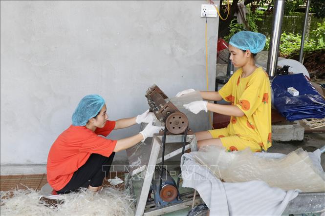 Trong ảnh: Người dân xóm Cầu Nhọ, xã Tràng Xá, Võ Nhai phát triển nghề làm mỳ, bún khô để tăng thu nhập. Ảnh: Hoàng Nguyên - TTXVN
