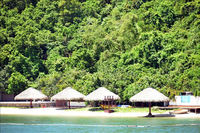 Trong ảnh: Khu vực bãi tắm trên đảo Soi Sim, nước trong xanh, bãi thoải, được du khách yêu thích. Ảnh: Thanh Vân-TTXVN