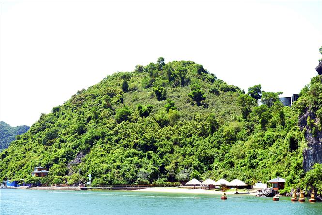 Trong ảnh: Do nhiều nguyên nhân khác nhau, dự án đã 